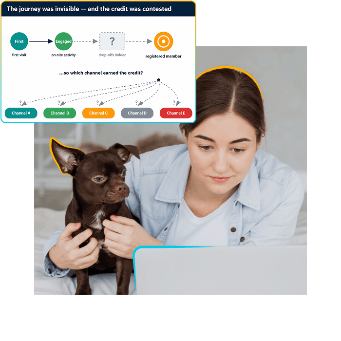 A UK pet-food subscription brand replaced last-click assumptions with a cross-validated channel attribution engine.