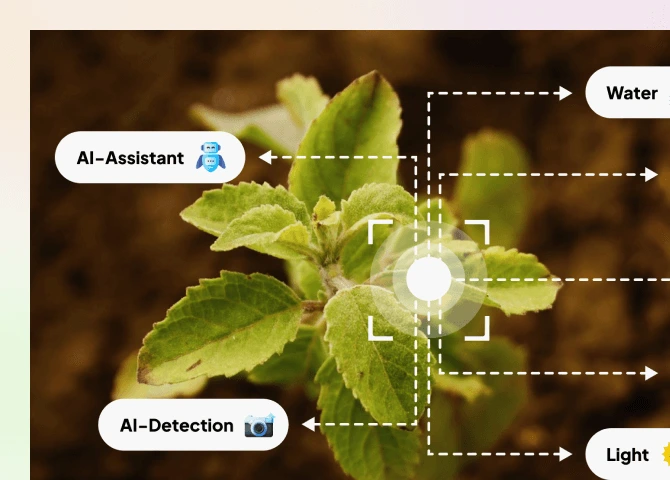 Agricultural Deep Learning Solutions For Smart Farming