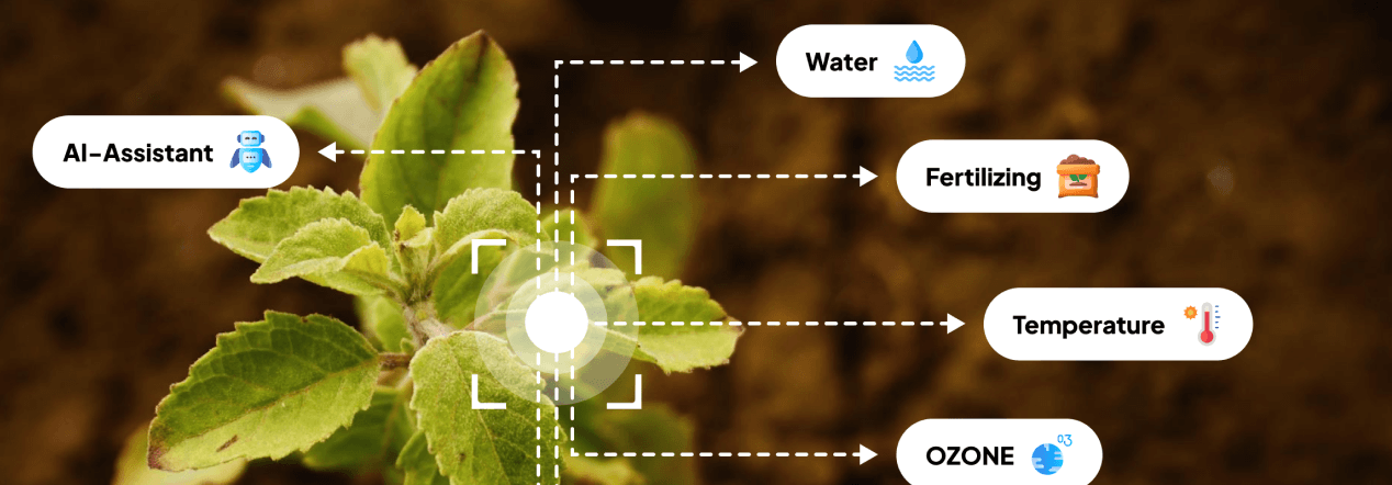 Agricultural Deep Learning Solutions<br> For Smart Farming